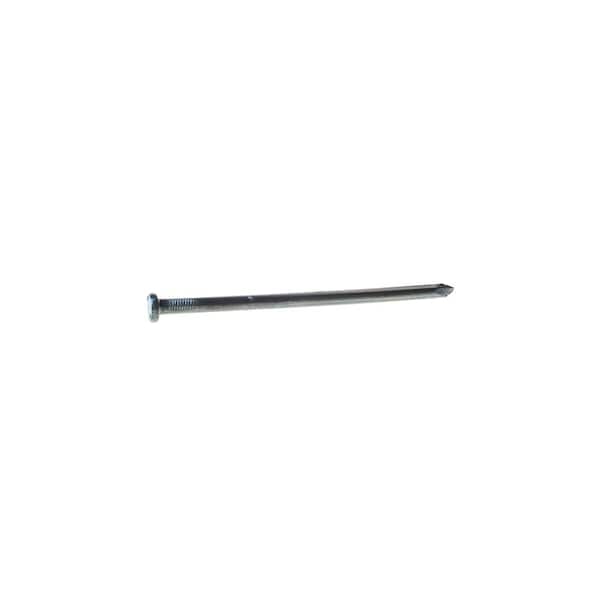 Common Nail, 12 in L, 180D, Steel, Hot Dipped Galvanized Finish
